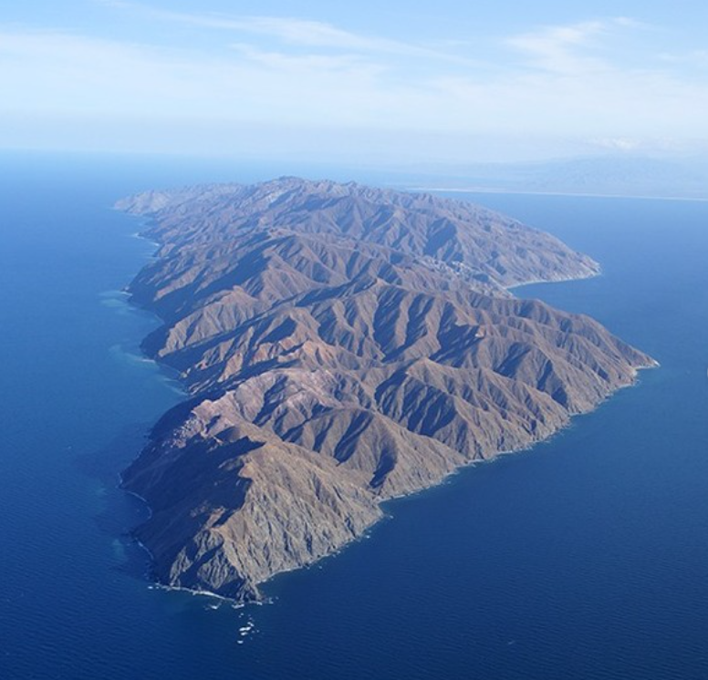 ChrJMHoffmann's tweet photo. #Island for #sale. Of the Coast of La Paz Mexico. Ready to be developed. Divers paradise, Key position west of Mexico and its Gulf region. 54 square miles large https://t.co/ul5o2O43iG
