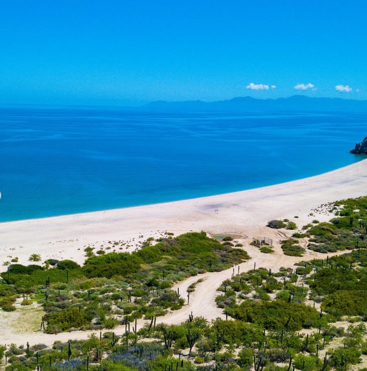 ChrJMHoffmann's tweet photo. #Island for #sale. Of the Coast of La Paz Mexico. Ready to be developed. Divers paradise, Key position west of Mexico and its Gulf region. 54 square miles large https://t.co/ul5o2O43iG