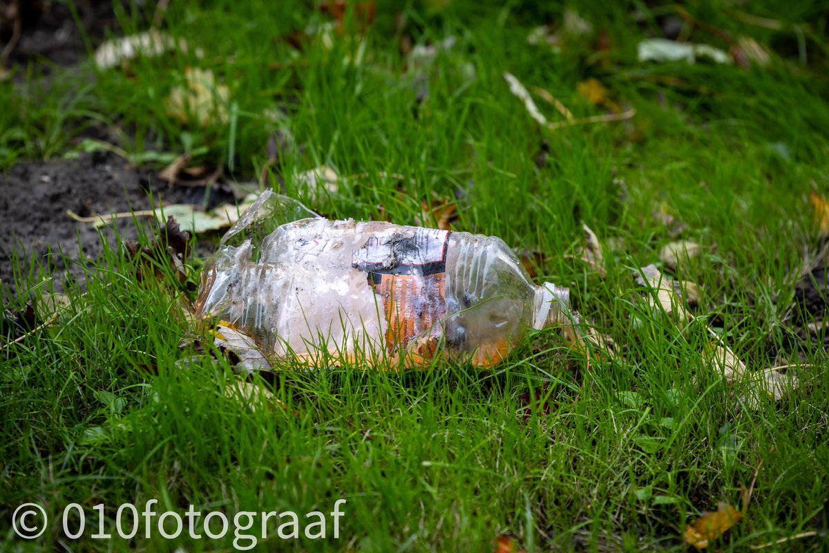 010fotograaf's tweet photo. Bij een flat aan de Bernweg in Vlaardingen heeft zondagmiddag een explosie plaatsgevonden. Op aanwijzen van buurtbewoners konden na een korte achtervolging twee, vermoedelijk minderjarige, jongens worden aangehouden. 

Het artikel staat online:
https://t.co/tSJ2ADpW1a https://t.co/HAm6JseR9y