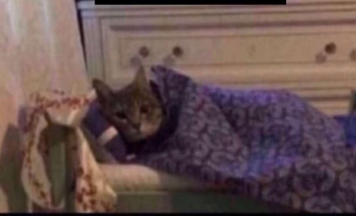 إذا الدولاب طلع الصوت وانت توك حاط رأسك