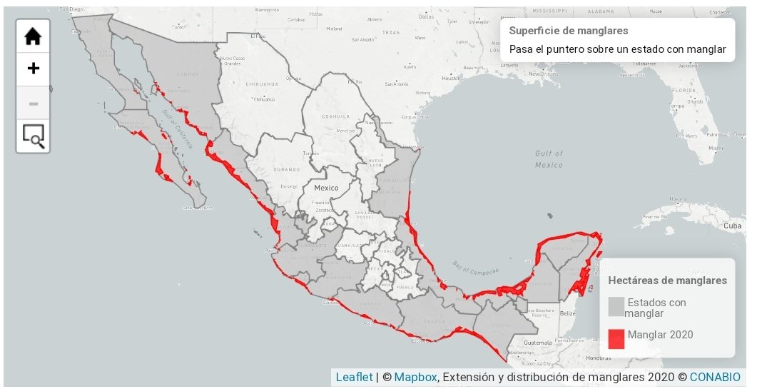 Bueno, Otis nos ha enseñado de mala manera que no es bueno reemplazar bosque de mangle por hoteles de lujo y lo que pasa cuando se desmontan cientos de hectáreas de este ecosistema.
