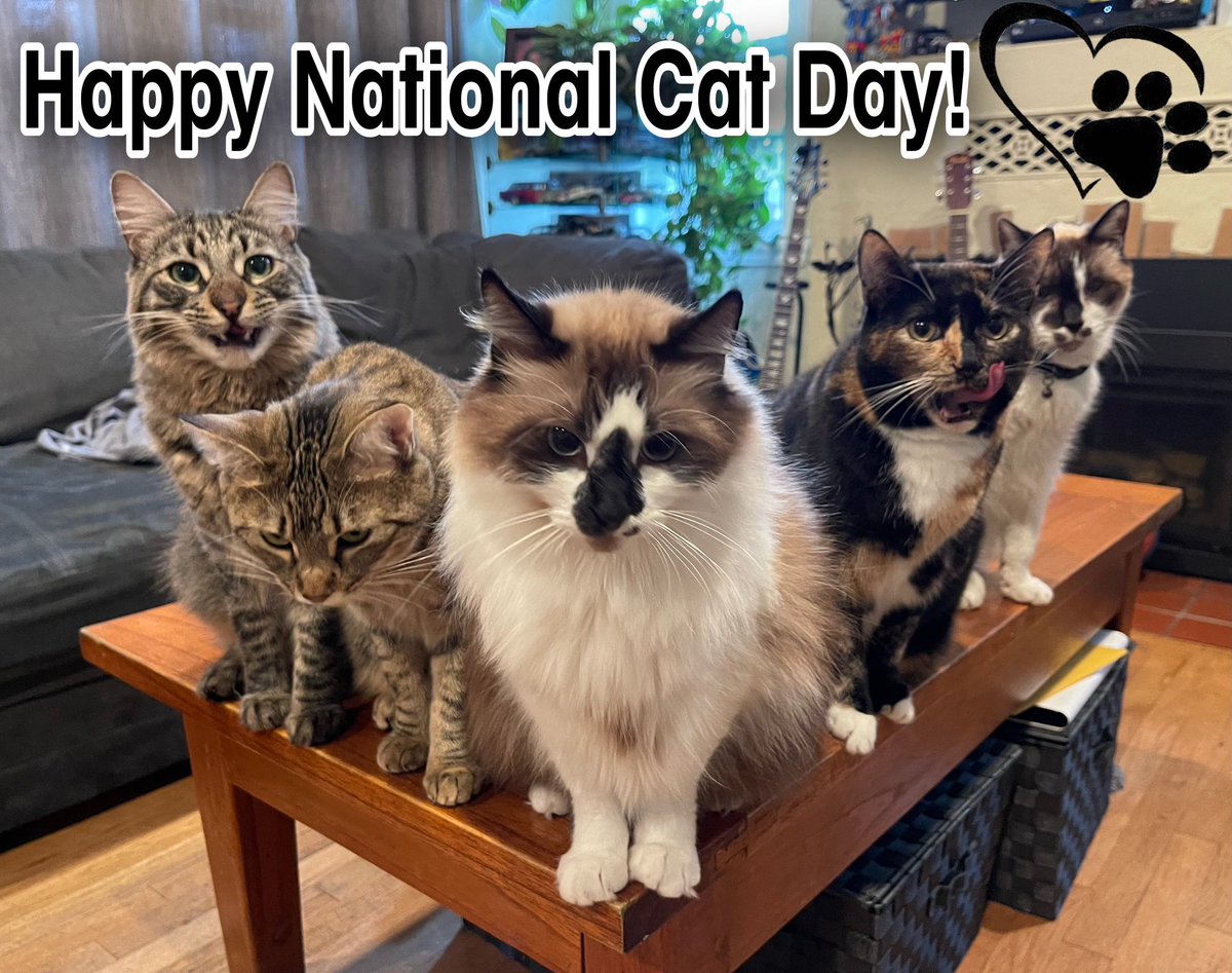 Happy #NationalCatDay from Skippy and the gang! ❤️🐾😸🐾❤️
#SNELovesPets #PhotoChallenge2023October #CatsOfX #CatsOfTwitter #CatsAreFamily #SundayFunday
