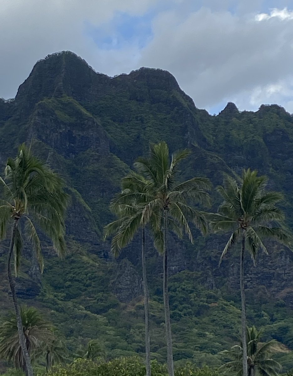 Spensinger's tweet image. Hawaii