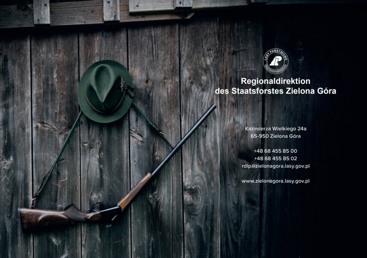 Nasze Lasy 🌳🌍🏞⚔️ tweet media