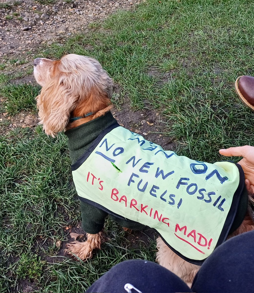 Rebel dogs in action at the @XRSouthWest #UniteToSurvive yesterday!

#NoNewFossilFuels