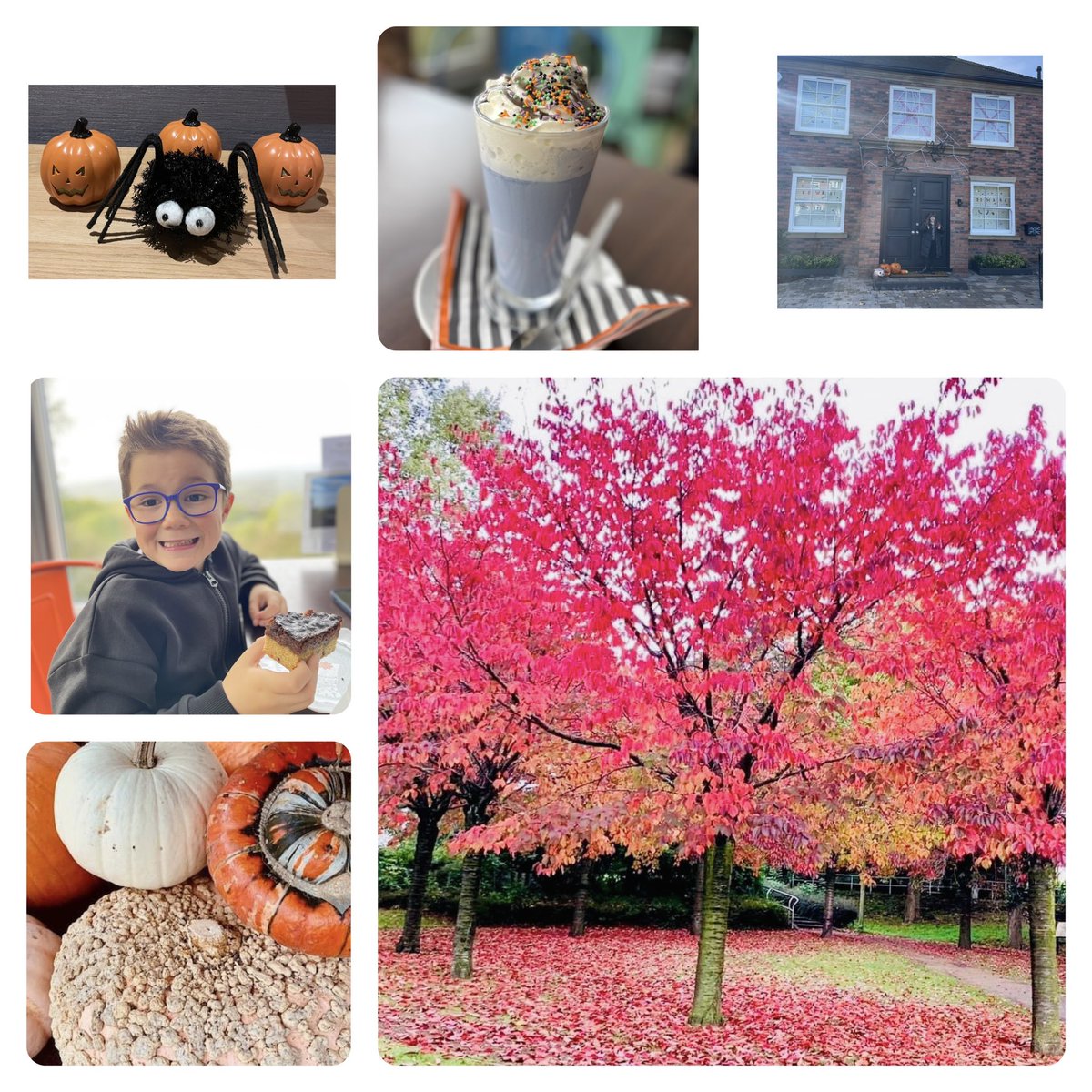 We made the most of the extra hour this weekend - pumpkin picking, witches brew hot chocolate and cake, welly walks in the autumn sunshine and house decorating 🎃 🕷️ #Wellbeing #FamilyFun