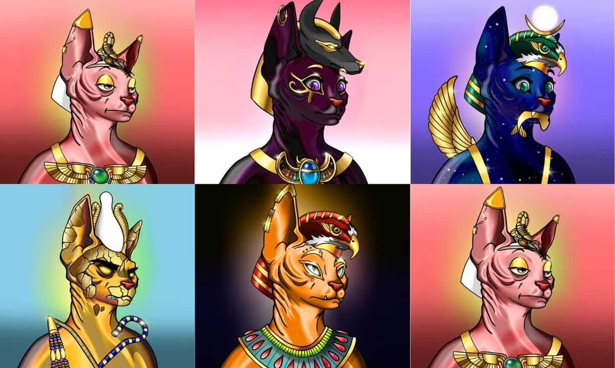 XHONI HODO tweet media