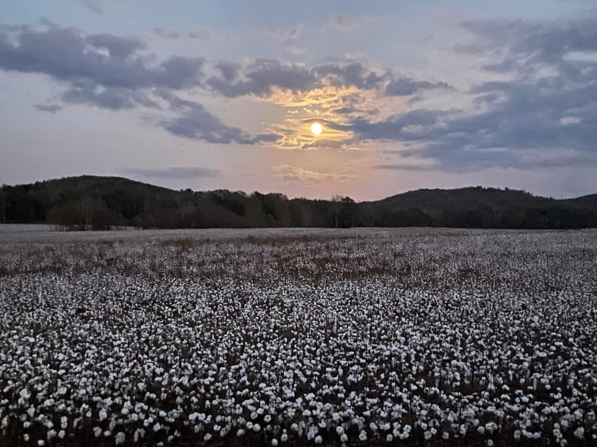 The beauty of Lawrence County