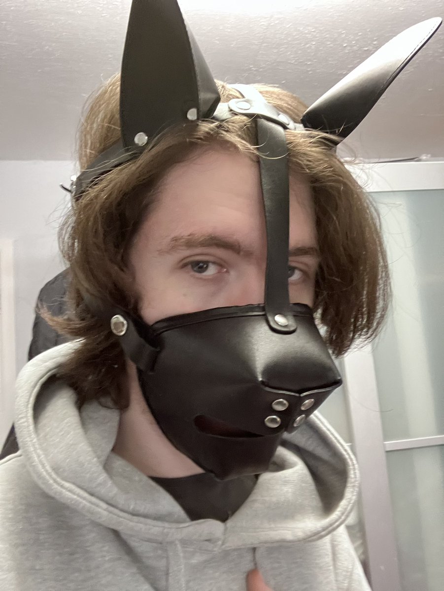 I can’t help it I like posting pics of me in kink gear. #pup #puppy