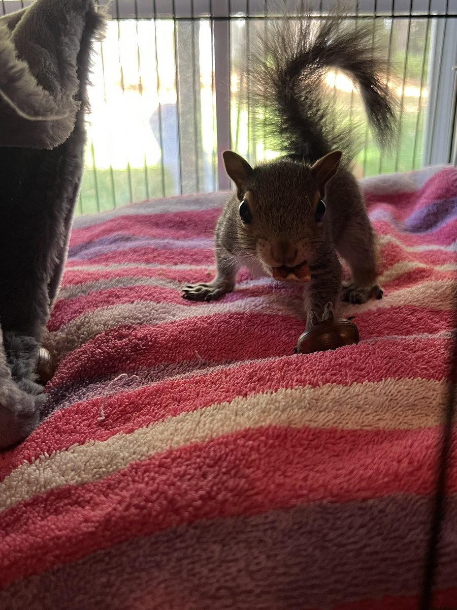 liu uzi chang (@liuuzichang) on Twitter photo 