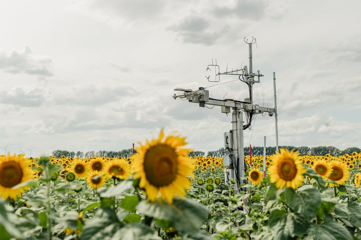 PhD position available at Thünen Institute of Climate-Smart Agriculture in Braunschweig, Germany. Interested in working with eddy-covariance data from agricultural sites? Passionate about field work? Curious about carbon and nitrogen cycling? Check the posting and apply!