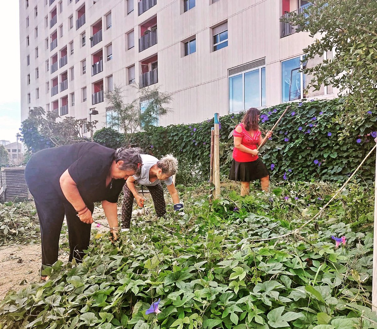 Diumenge que ve més! 💚🌱