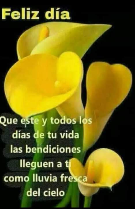 adrixlopez_lop's tweet photo. https://t.co/UvMujLxjnc