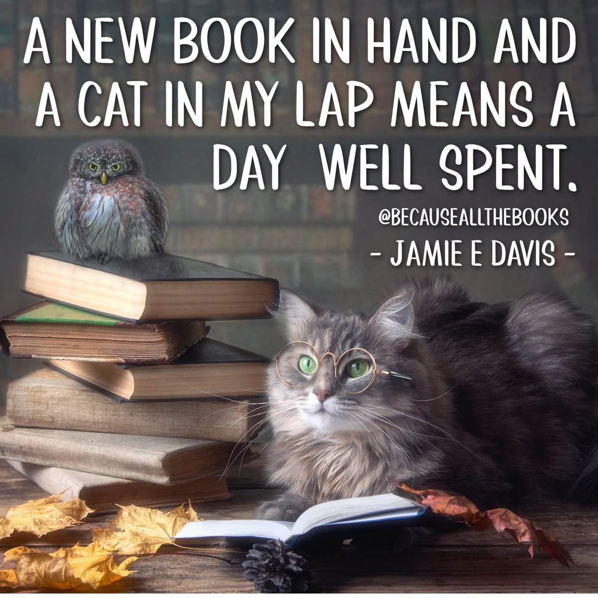 Happy National Cat Day!! I think I'll grab a cat (or three) and snuggle up  with a brand new book! Happy reading, fellow cat lovers! P.S. It's totally  okay if you prefer, image size:1200x1200