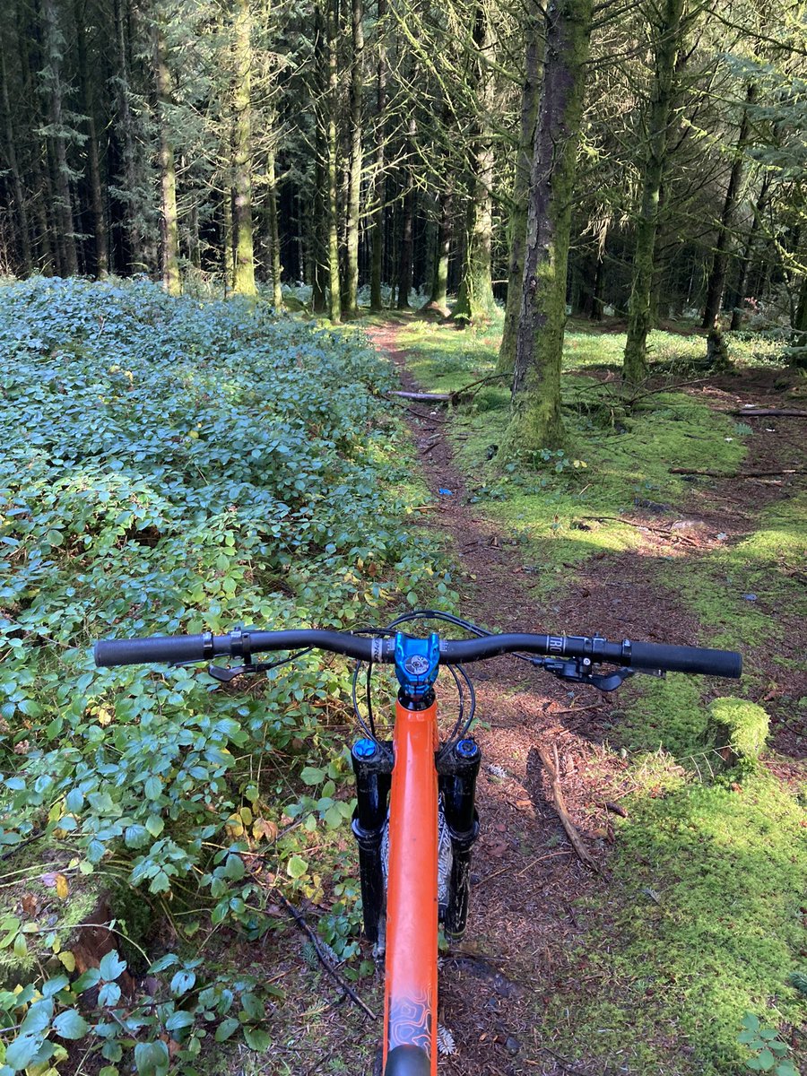 Attempting muddy trails on a xc hardtail on a Sunday morning, needed my full attention 😅… stunning welsh morning in the hills and forests! ✌️ #Absoulatemtb1 #lovewhereyoulive #walesneverfails