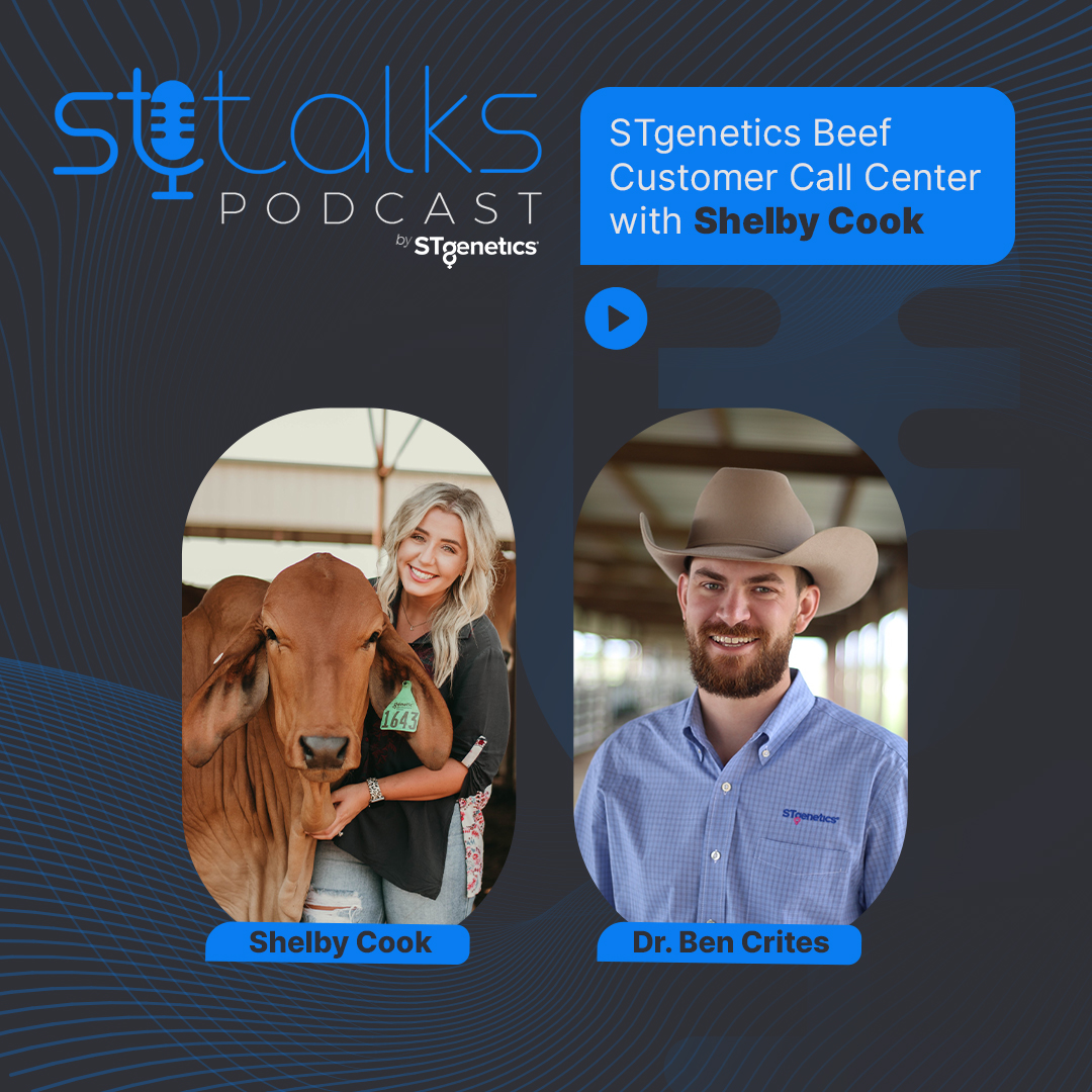 STgeneticsBeef's tweet photo. Sit down with ST on this Sunday!

STgenetics® Beef Customer Call Center with Manager, Shelby Cook, and Director of Beef Market Development, Ben Crites, share how dynamic the Beef Call Center team is and how they can assist you with your breeding program. Listen to this exciting S https://t.co/7S074FccS3