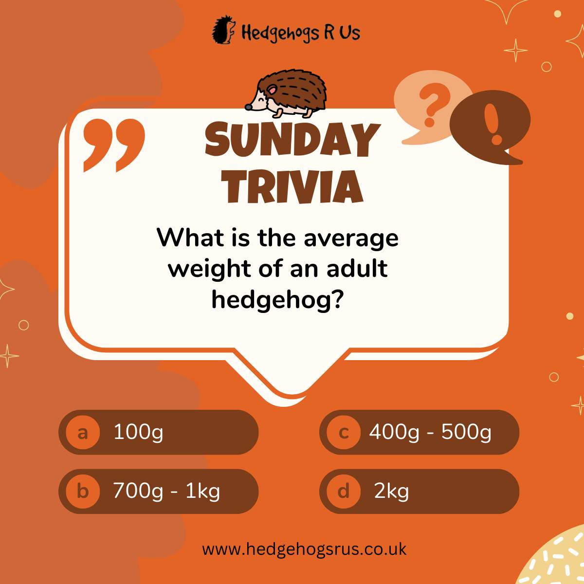 Hedgehogs R Us tweet media