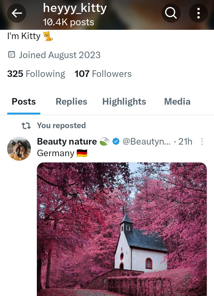 heyyy_kitty's tweet image. Ok it started at 10k what day was that, yesterday 😍🥴 today 10.4k tweets since August 2023 today I November 2023 😳😂🚬
thats over 10 thousand tweets in 90 days.  #twitterporn #imkitty #heyyy_kitty just don&apos;t forget the underscore 🐈🐾🐾🐾🐾🐾🐾 🐈