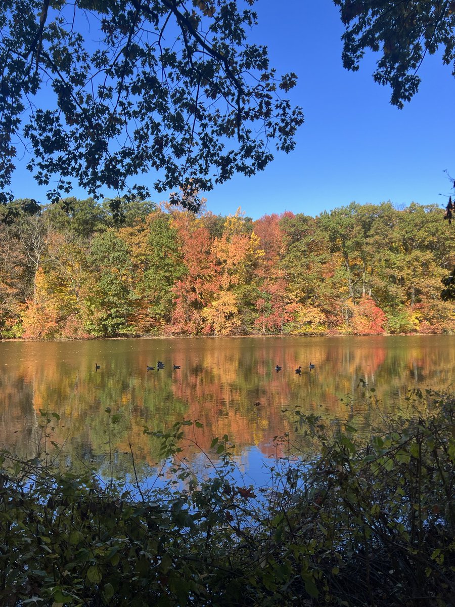 Ms RiveraBX tweet media