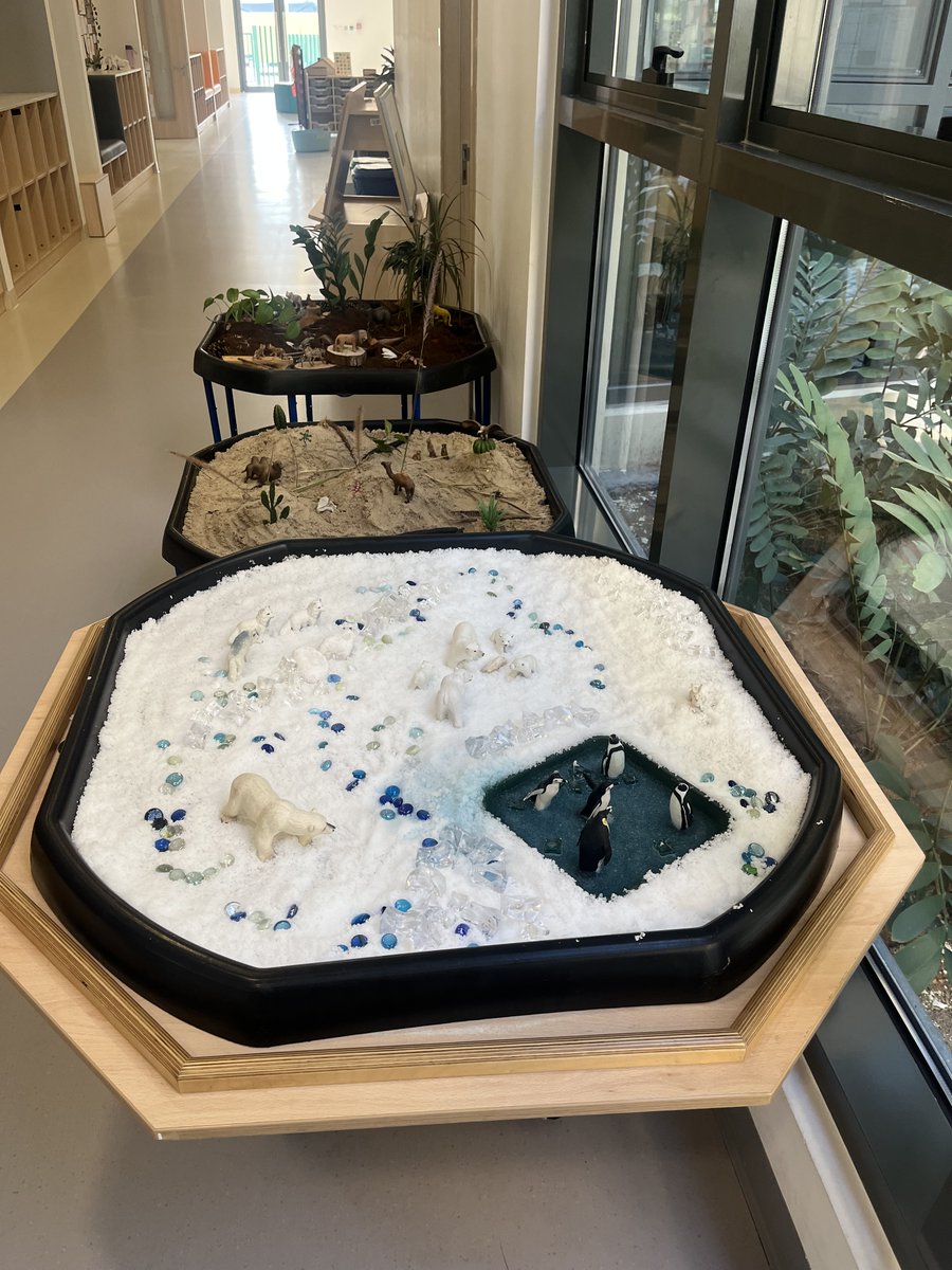 Beautiful, purposeful environments in our Grade 1 spaces. Quality examples of the learning process. High expectations of learning modelled by exceptional teachers 💚❤️