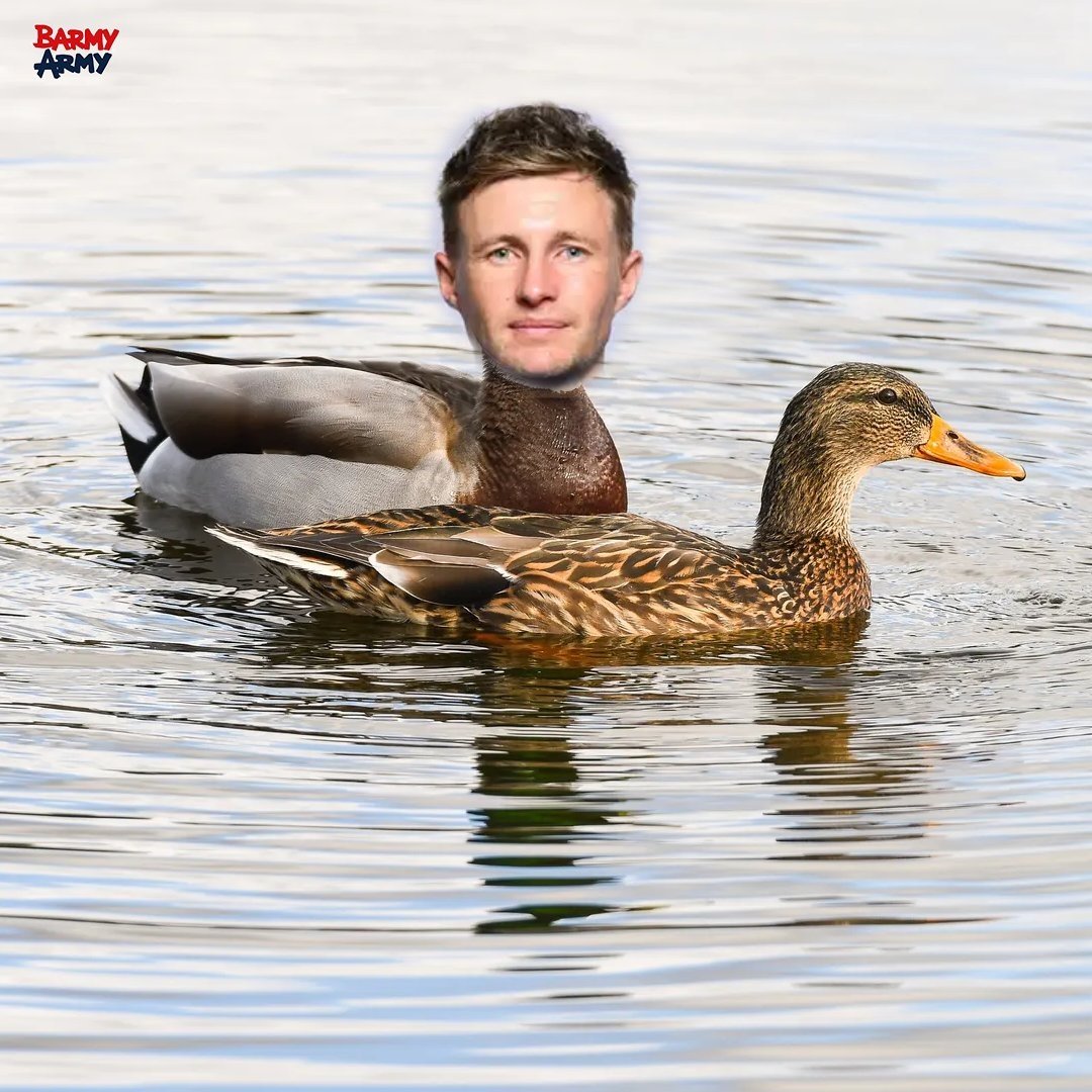 Just out for a evening walk😂
#INDvsENG
#INDvsENG