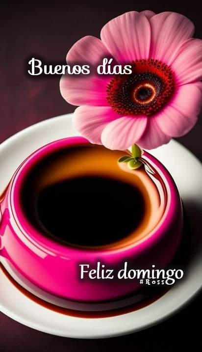 ElsaSilvaVilla's tweet photo. Ya esta el café ☕ despierten

Lindo domingo familiar 🤗 🍀 https://t.co/mLOBAErMq9