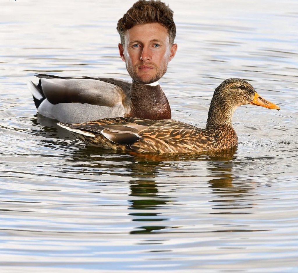 amisuvam's tweet photo. @TheBarmyArmy Golden Duck for Joe Root! https://t.co/2kljqqtlyH