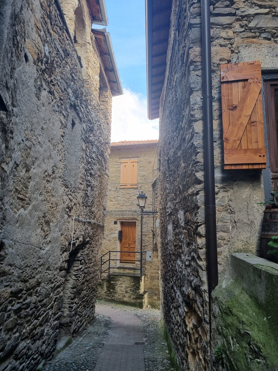 DTownsendHist's tweet image. 2500m above sea level in the Italian alps on a vineyard having a very peaceful autumn break. Have a wonderful well earned break to everyone I have the pleasure of working with and in collaboration with out there. #MountainAir #PeaceAndQuiet