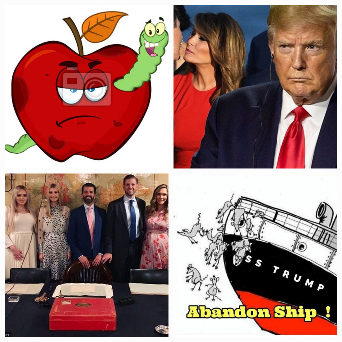 FrankDangelo23's tweet image. Time to play family feud! The worms don't fall too far from the rotten apple!  I believe &amp;amp; could be wrong the Trumps will all be driving their own busses trying to save themselves especially delusional treasonous pathological liar fucking moron conman rancid fishlips colossal…