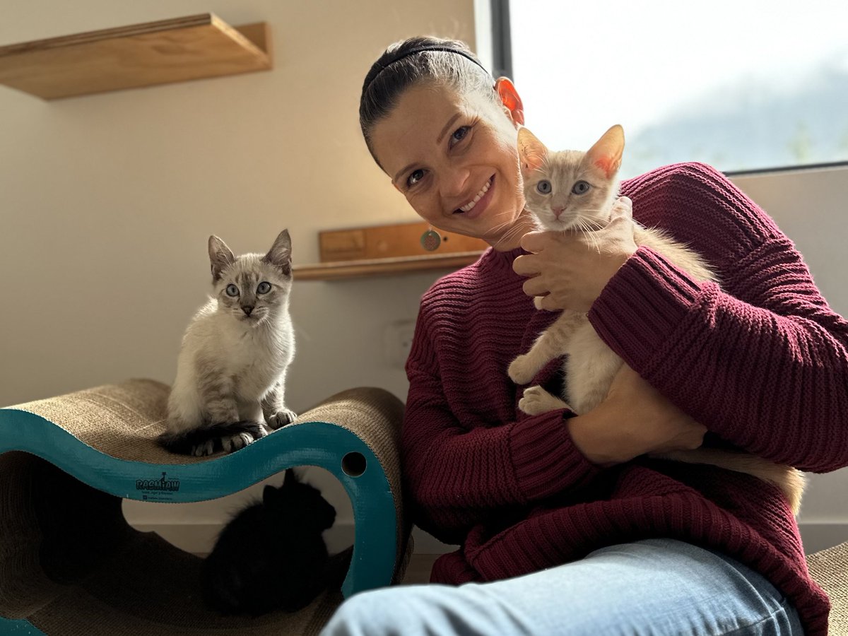 andreanimalidad's tweet photo. Recibimos el día de votar por el #Verde14🌻 @jhonnra con 3 bebés que llegaron anoche a nuestro hogar de paso (rescatados del San Bernardo). La semana entrante llegarán 6 más: una mamá con sus 3 bebés de un mes, rescatados en Soacha, y 2 de 20 días rescatados a consumidores. Además, viajaremos a Pitalito, Huila, a esterilizar a 300 con la @fund_rutaanimal El amor se da todos los días. Gracias vida ❤️