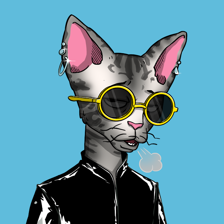 RIDVAN KIRIŞ tweet media