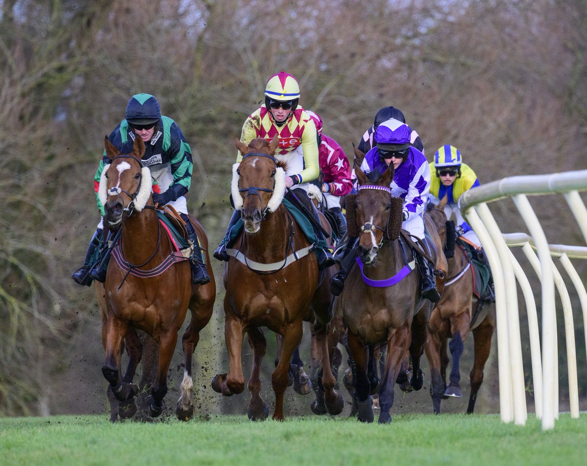 CoastNorfolk's tweet photo. On Site Race Meeting

Residence Raceday 

This Wednesday

1st November 2023

Gates Open – 11.00

First Race – 13.40
Last Race – 16.15

Buy your tickets in advance online now and SAVE.

Children under 17 FREE when accompanied by an adult.

https://t.co/TKjTvxVLqx
01328 862388 https://t.co/vpXM854Hmy