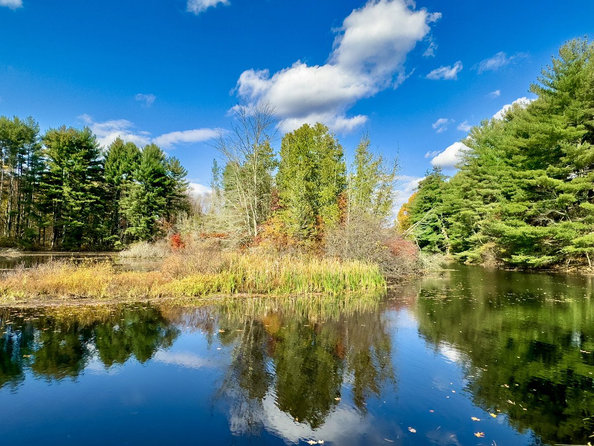 HansKLinderoth's tweet photo. A view which brings me to pause while cycling on Center Road where the Aspatuck river becomes the Aspatuck reservoir, Easton Connecticut 10.28.23

#iphone14pro #fairfieldcountyct #newenglandlife #autumn #roadcycling #indiansummer #iphonephotography #autumnvibes #foliage #ilovecycling #colorful #cyclingnewengland #cyclingphotos #cyclingphotography #cyclingpassion #cycleshots 
 #cyclinglovers #beautyofcycling #roadbikes #saturation #landscapephotography #cyclinglifestyle #cycleology_bike_ski #zen #cycling #reflections #beautiful 
#ilovenature #adventure #happiness