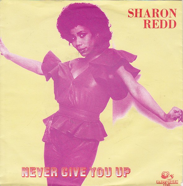 watasiwayamaoku's tweet photo. Never Give You Up/Sharon Redd
NY系R&Bダンス物です🗽
やはり日本でも耳ざとい方やフロアに繰り出される方には人気だった模様🕺
私もイントロでキャーとなります…生まれてないですが(笑)
#SharonRedd #シャロン・レッド #NowPlaying https://t.co/UnAzKyi8cj