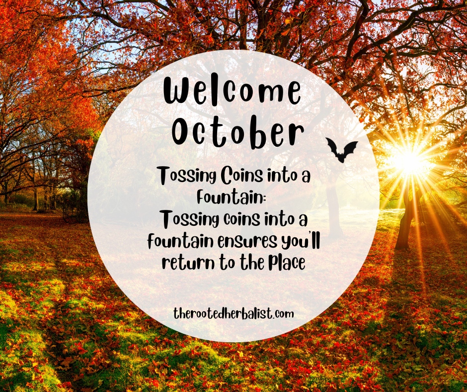 Welcome October

#witchytips #herbalism #october #therootedherbalist #coloradosprings