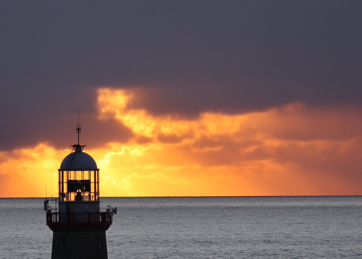 Ann Bruen tweet media