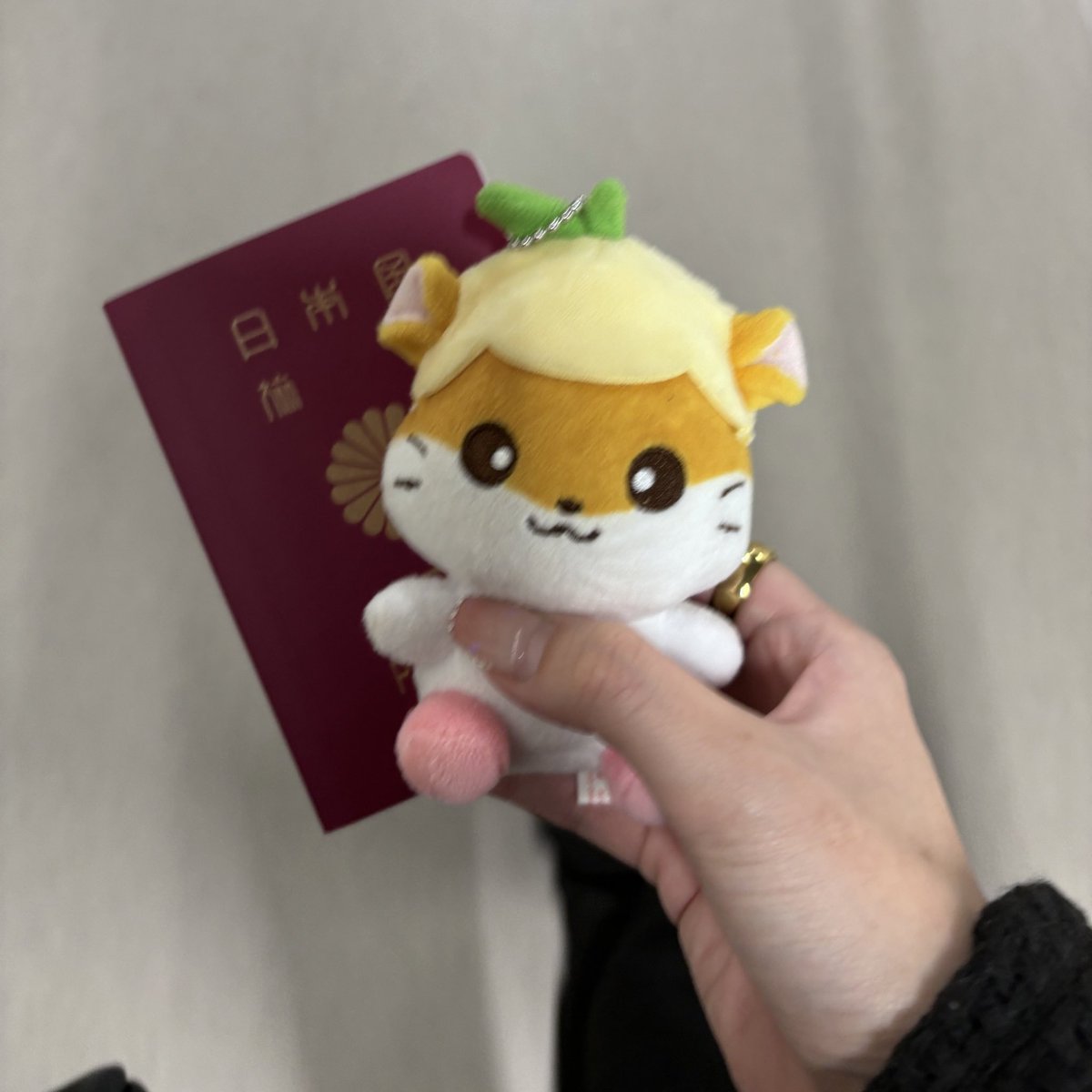 067ZK_'s tweet photo. 記録📝_ INIのサノク始まったら絶対に行くとずっと決めていたのでその日のうちに飛んで目の前で匠海見れて本当に幸せだーーーーーー〜ㅜㅜㅜ　現地で仲良くなった方々もありがとうございました〜また会えますように⌒🧡 
사녹 수고하세요🧡 또 꼭 갈게요〜✊🏻^ ̳>𖥦< ̳^✨ https://t.co/5jx8zNvEXN