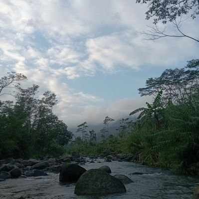 cüneyt alıç tweet media