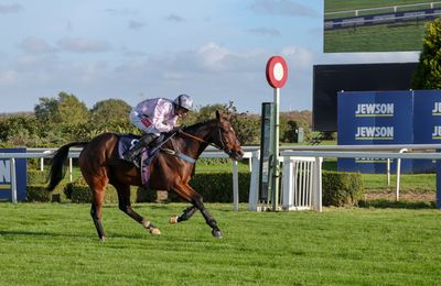 Racing Post Bloodstock tweet media
