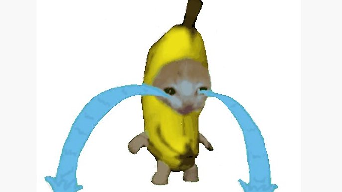 kuura 🇫🇮 tweet media