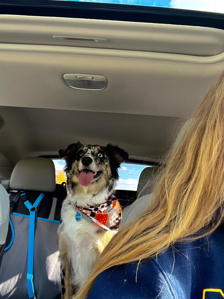 cjdoeslife's tweet image. Weekend trip with my girl to PA🫶🏻🐾