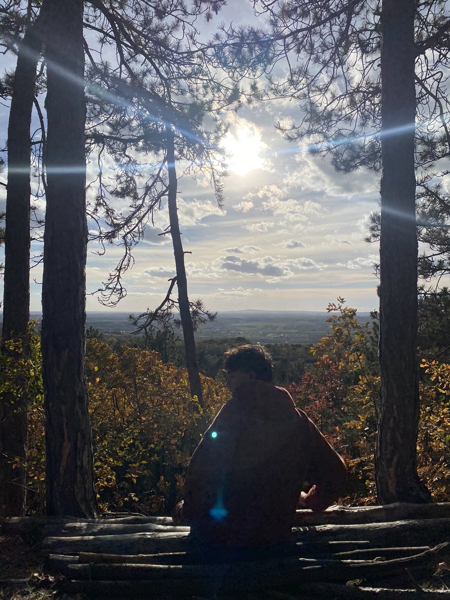 zetigod's tweet image. hungary trip thread ft @Lagoatenka and @MalcomCSGO: