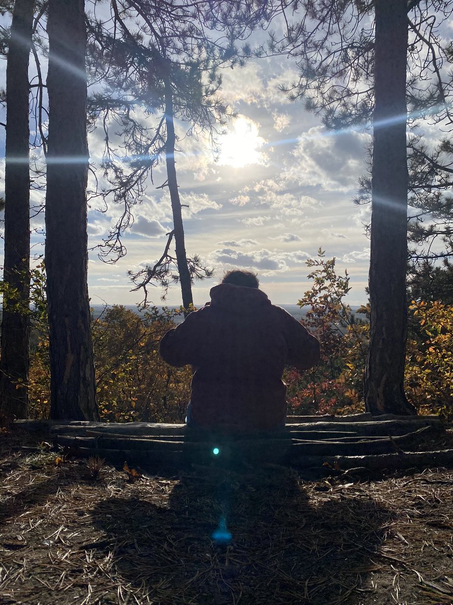 zetigod's tweet image. hungary trip thread ft @Lagoatenka and @MalcomCSGO: