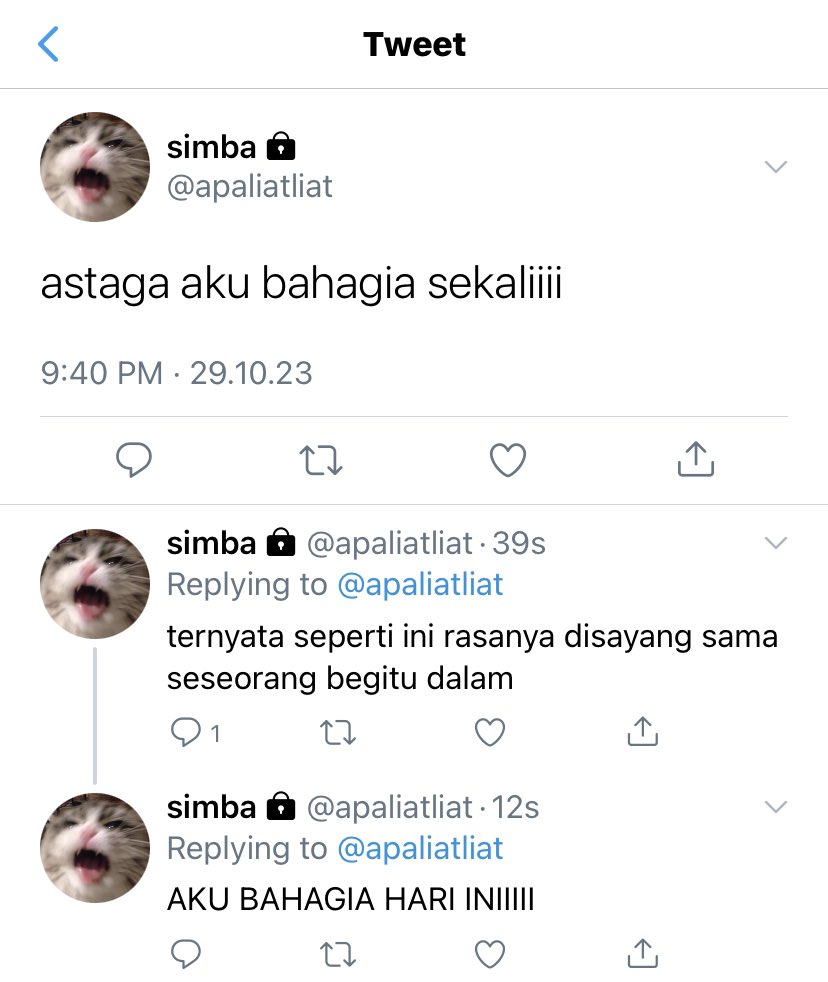 Erina tweet media
