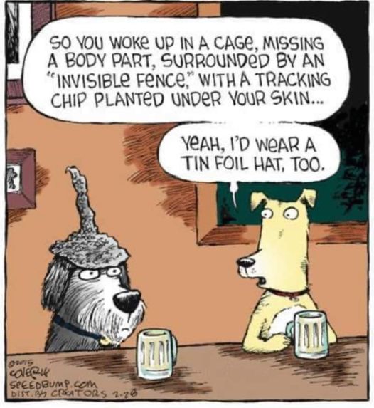 A little sumpin fur #SillySunday