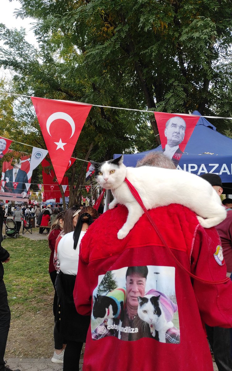 MIRZGRR's tweet photo. #CumhuriyetinYüzüBiziz #cumhuriyet #keddy https://t.co/RaD1dJbU4f