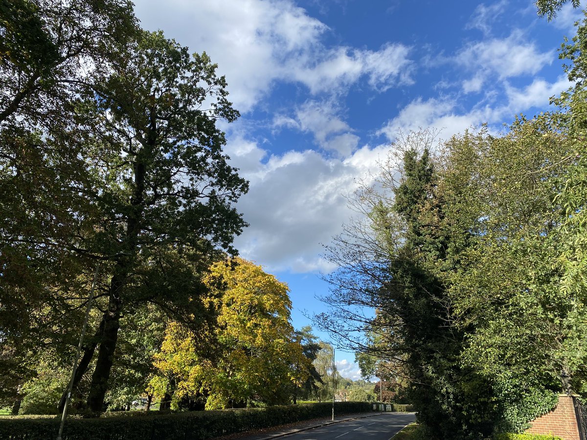 An autumnal Wise Lane
