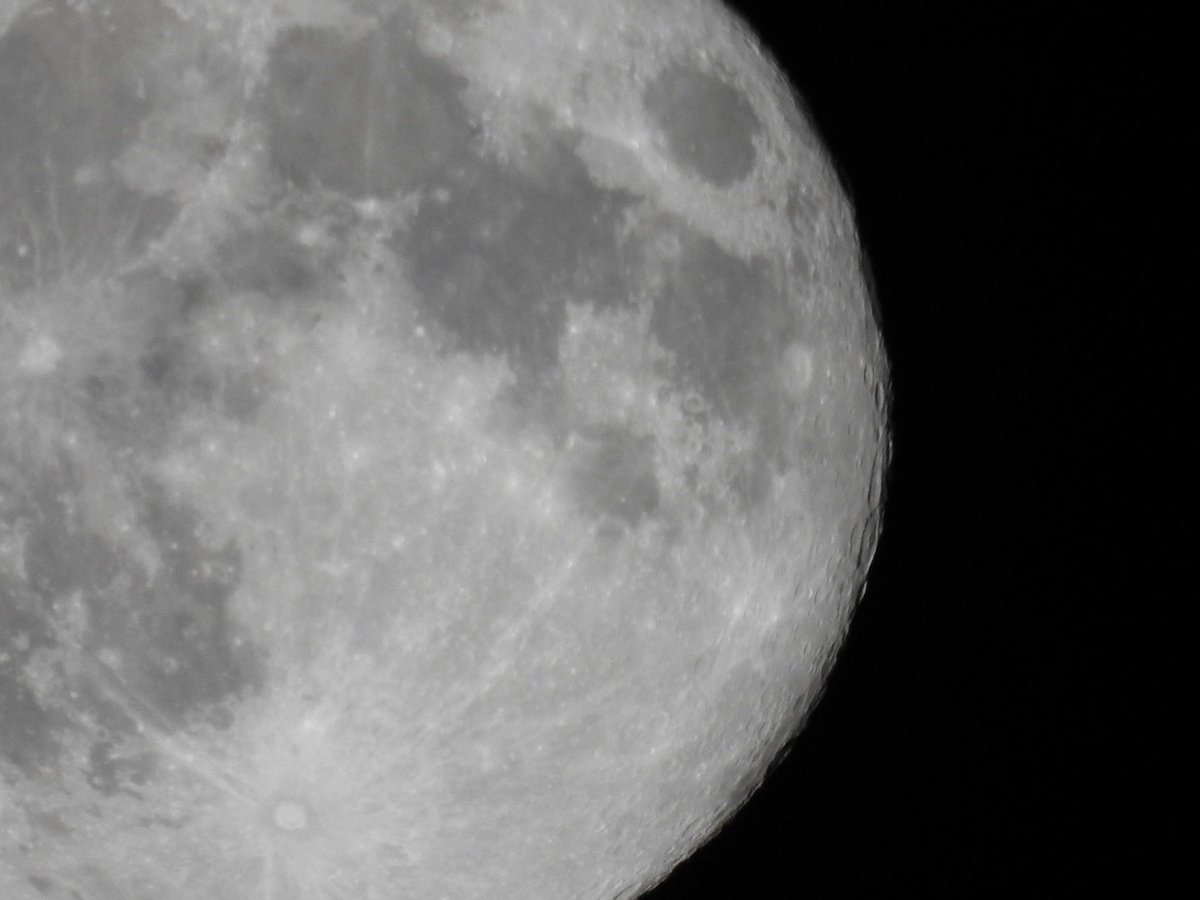 満月🌕

#満月
#NikonP900
#なんとなく撮ってみた
#夜は冷えます
#千葉県の夜空