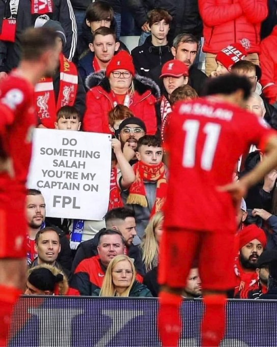 FPLFocal's tweet photo. One of us! https://t.co/AcVBAn7M4Z