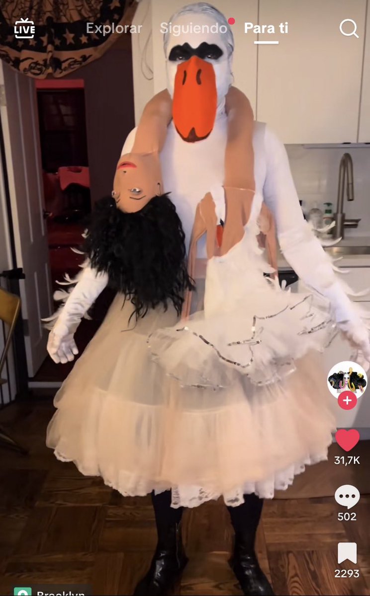 I hate gay people at Halloween because what the do you mean you're going as…….. a swan(?) wearing a björk dress(?) who is also wearing a swan dress? idek…